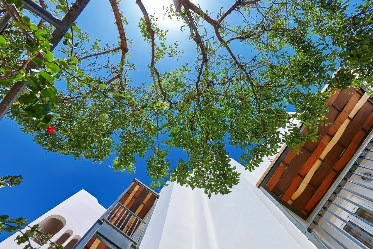 Arminda & Resort 4*
